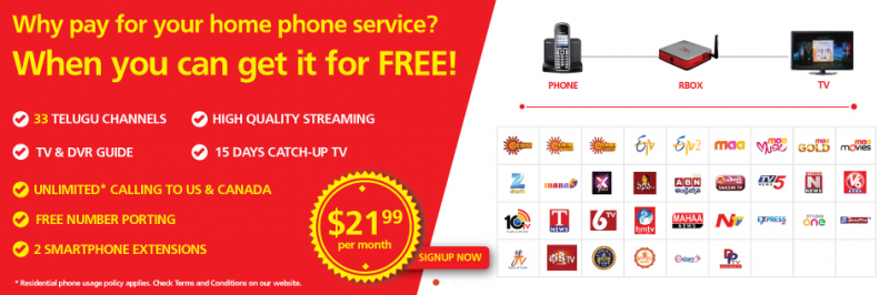 6 Best Indian TV Channels In The USA