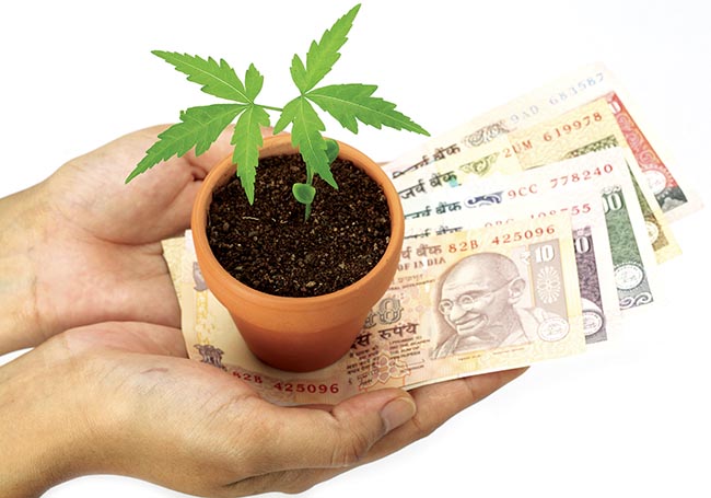 10 Best Tax Saving Mutual Funds in India